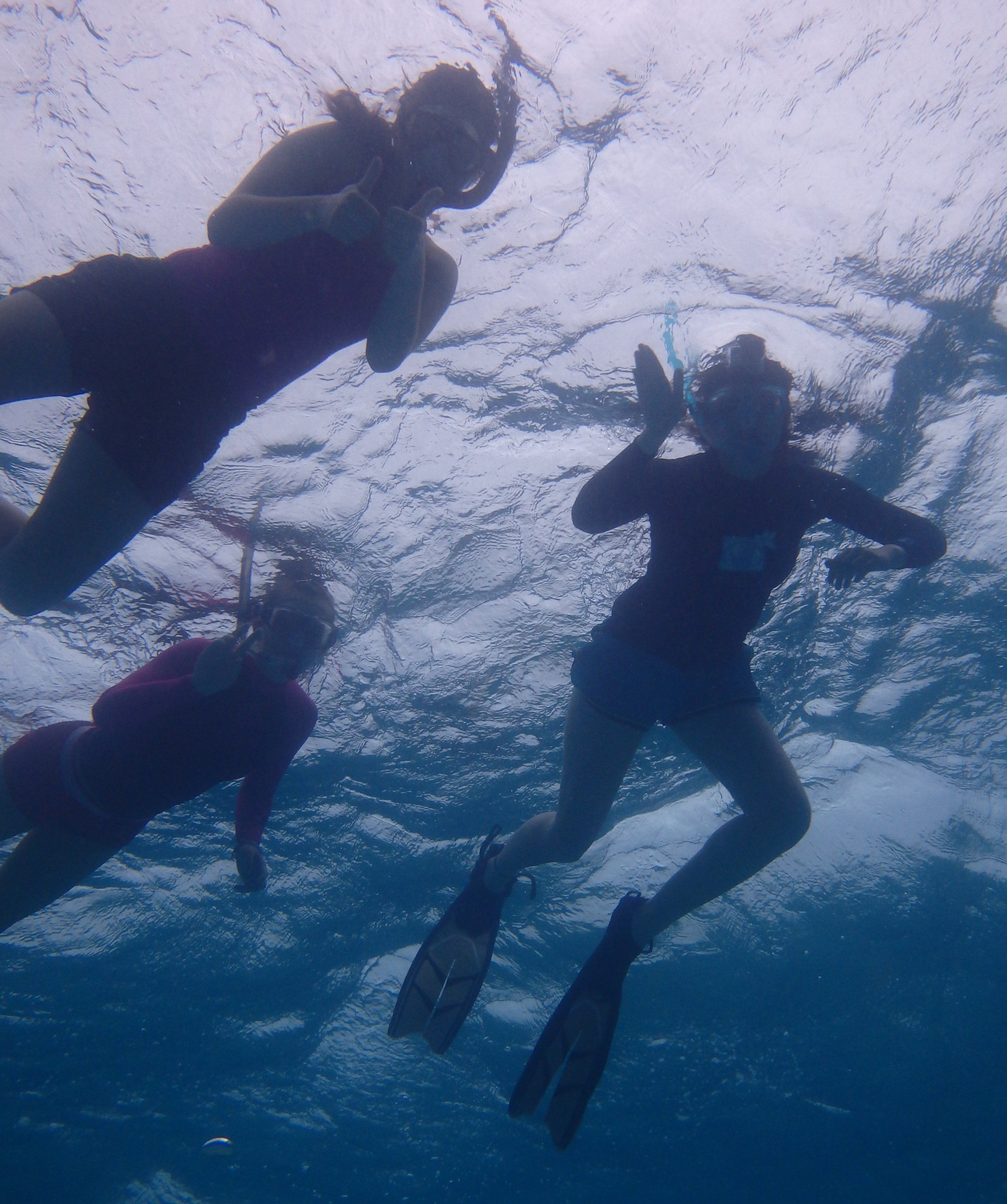 Belize snorkeling